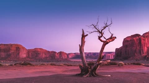 Desert